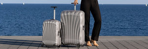 Large suitcases